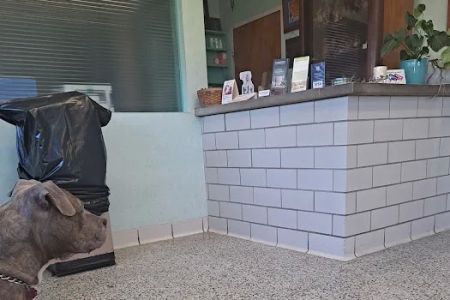 Oakland Park Animal Hospital, LLC
