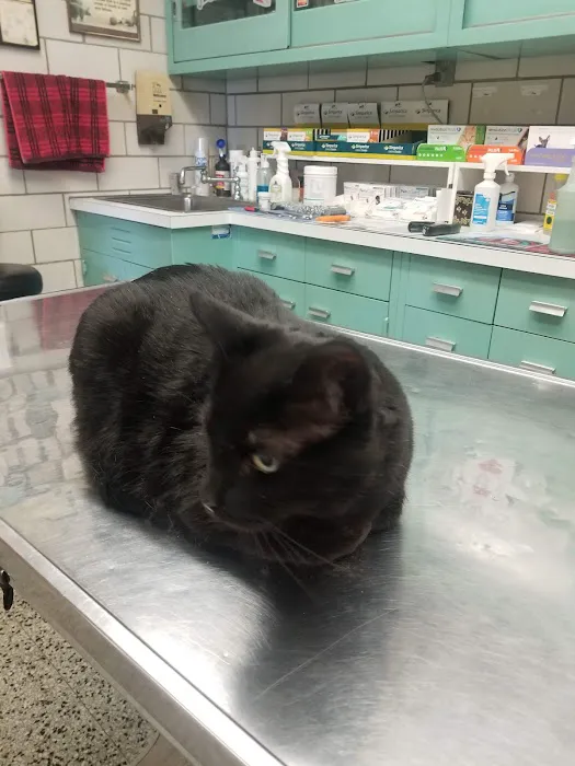 Oakland Park Animal Hospital, LLC 3