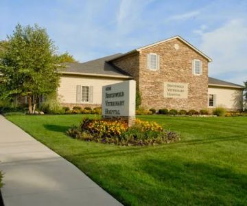 Beechwold Veterinary Hospital, A Thrive Pet Healthcare Partner