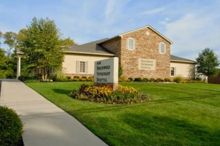 Beechwold Veterinary Hospital, A Thrive Pet Healthcare Partner