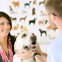 East Columbus Veterinary Hospital ico