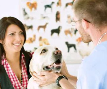 East Columbus Veterinary Hospital