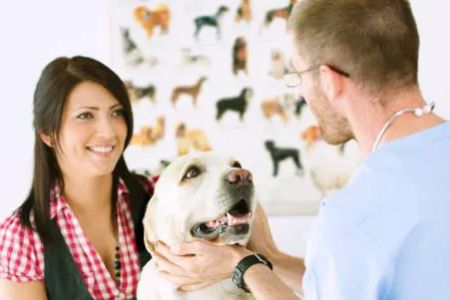 East Columbus Veterinary Hospital
