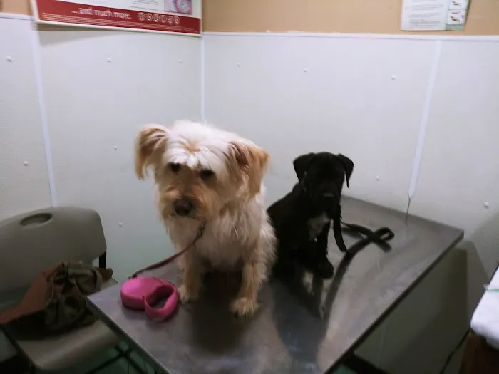 East Columbus Veterinary Hospital 12