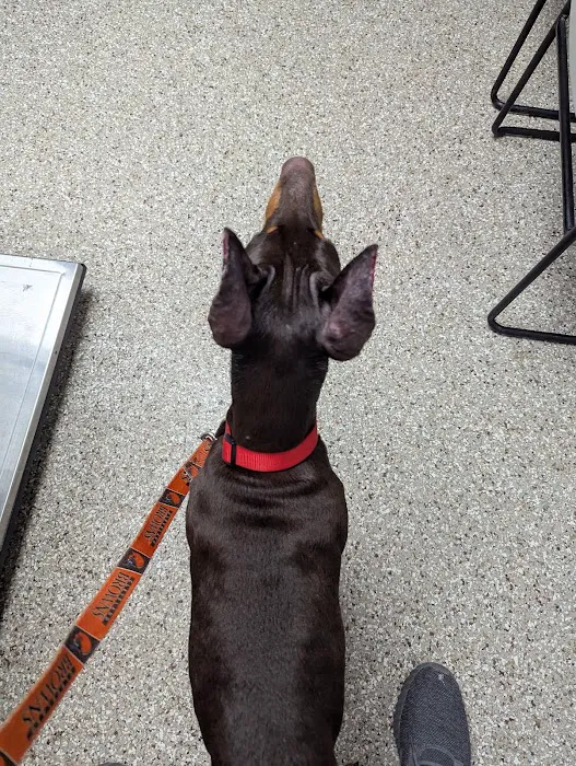 East Columbus Veterinary Hospital 12