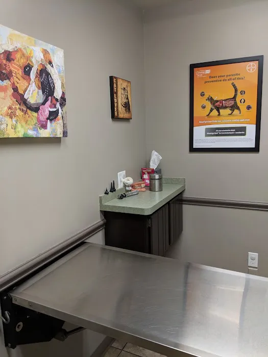 German Village Veterinary Hospital 4