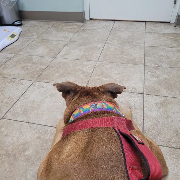 German Village Veterinary Hospital 7