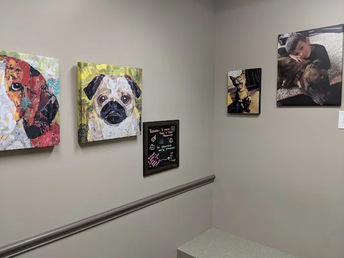 German Village Veterinary Hospital 9