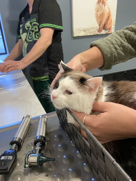 Rice Pet Clinic & Hospital 8