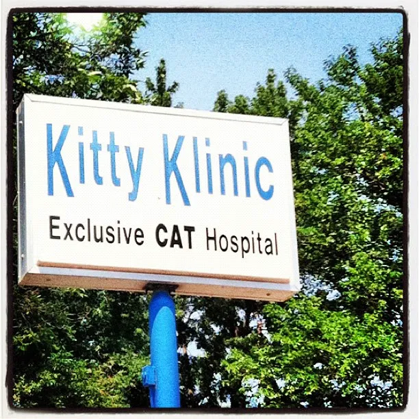 Kitty Klinic 4