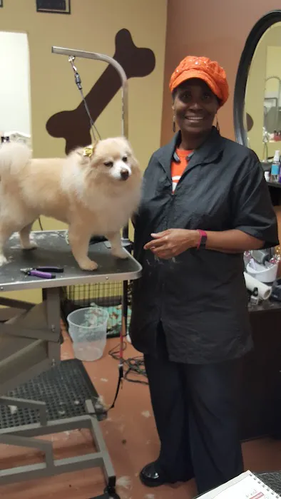 Pet Doctors 8