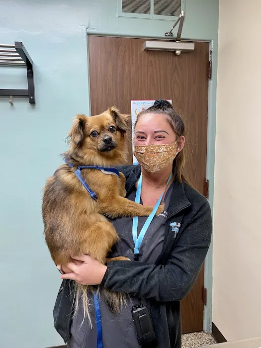 Lyndale Animal Hospital 7