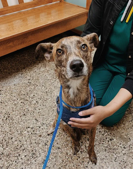 Lyndale Animal Hospital 8