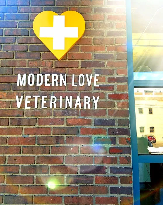 Modern Love Veterinary 12