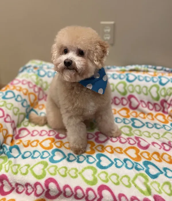 Banfield Pet Hospital 7