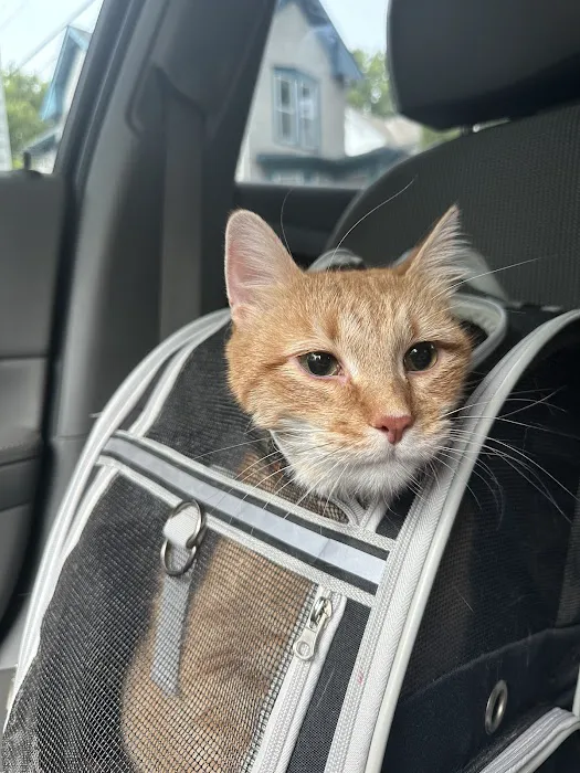 Banfield Pet Hospital 8