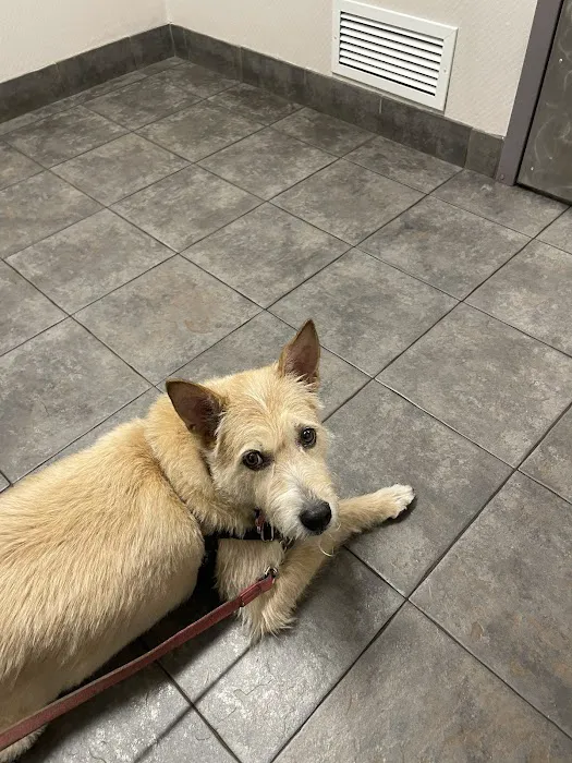 Kenwood Pet Clinic 12
