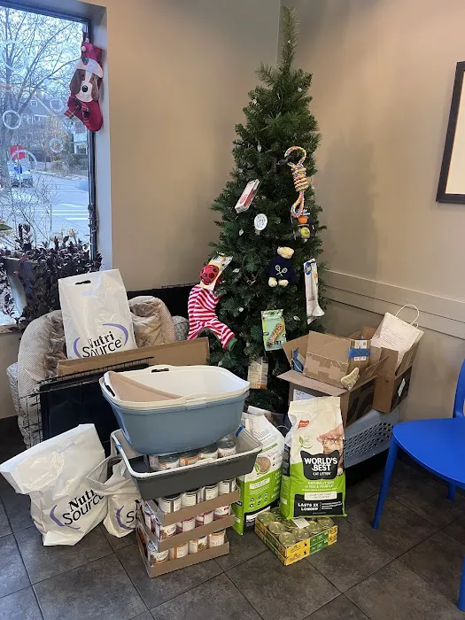 Kenwood Pet Clinic 12