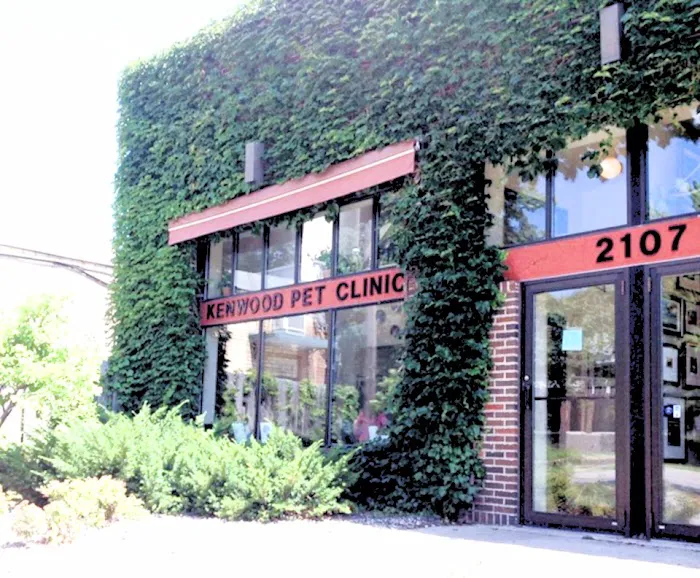 Kenwood Pet Clinic 12