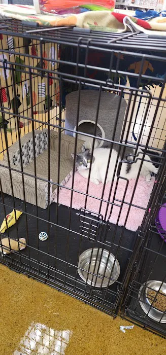 Pet Central Animal Hospital 12
