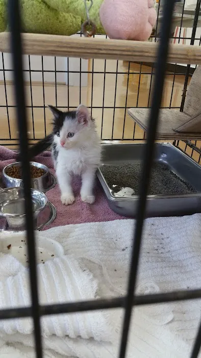 Pet Central Animal Hospital 12