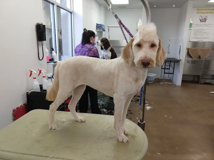 Pet Central Animal Hospital 12