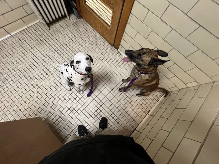 Pomeroy's Animal Hospital 1