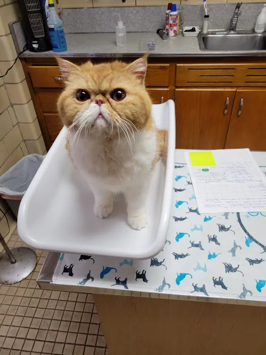 Pomeroy's Animal Hospital 4