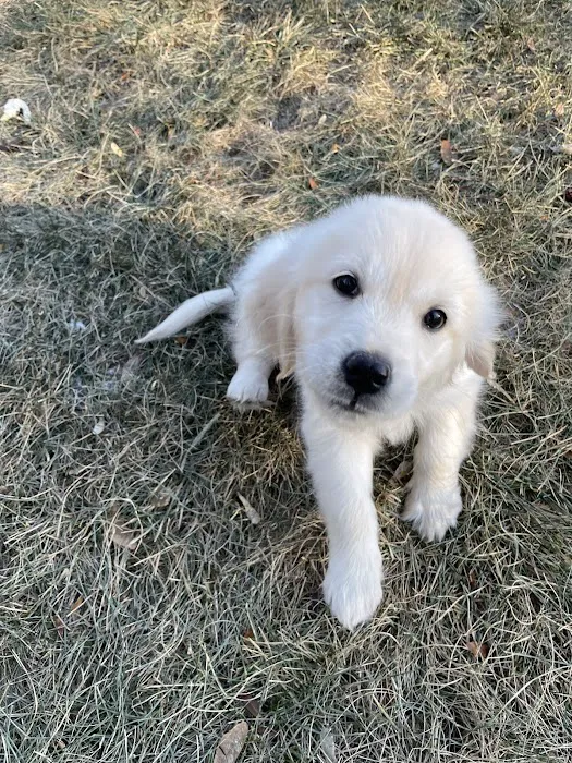 Mendakota Animal Hospital 2