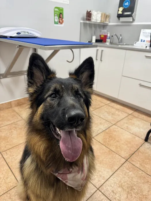 Mendakota Animal Hospital 1