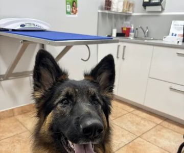 Mendakota Animal Hospital