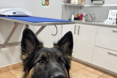 Mendakota Animal Hospital