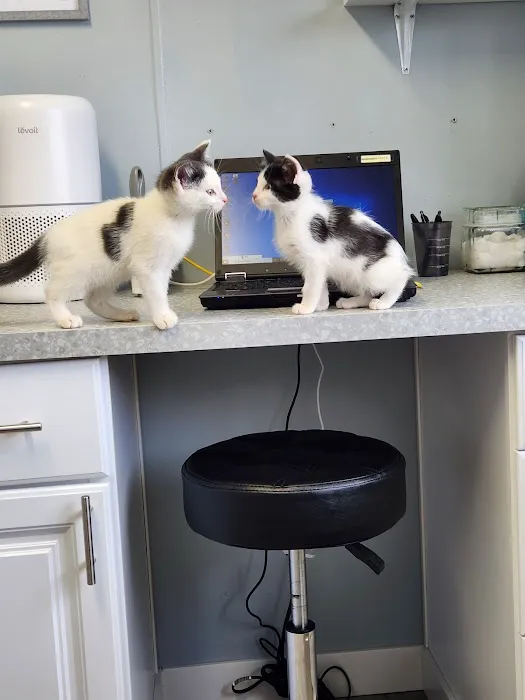 Mendakota Animal Hospital 4