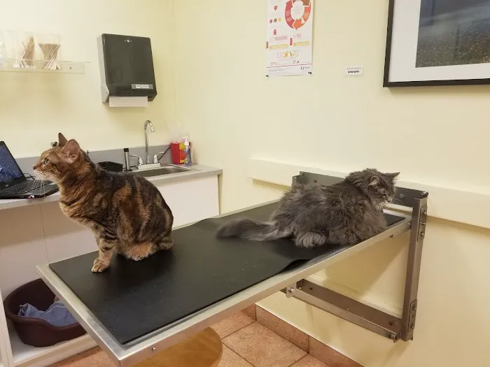 Mendakota Animal Hospital 5