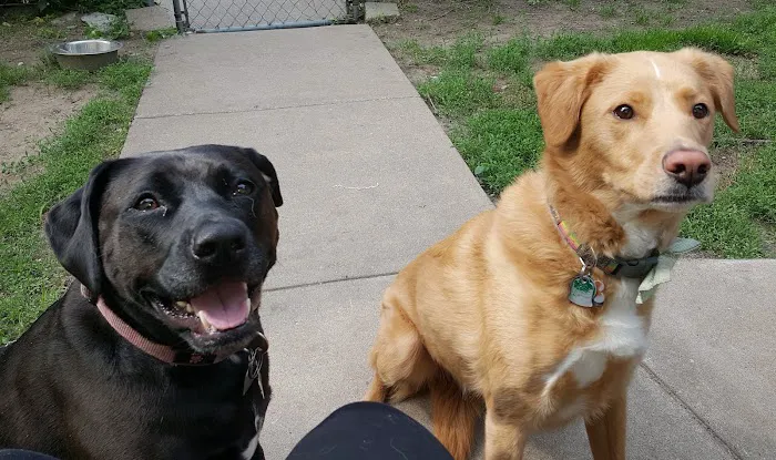 Mendakota Animal Hospital 8