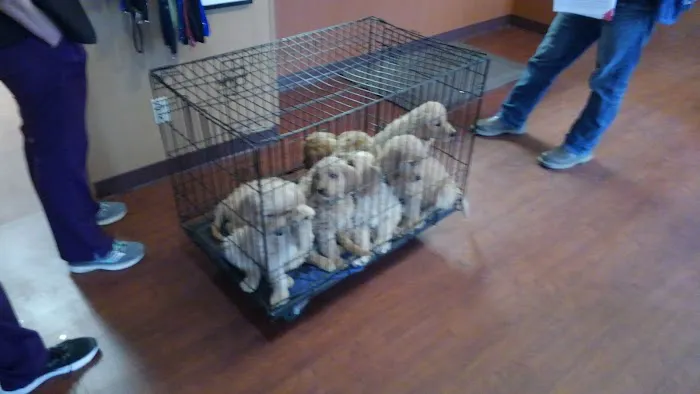 Animal Clinic of Paulding 12