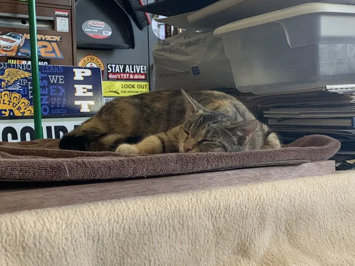 Bryan Area Animal Hospital 4