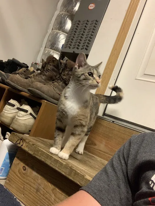 Bryan Area Animal Hospital 7