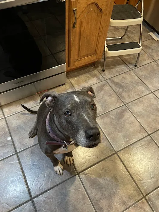 Jefferson Veterinary Clinic 12