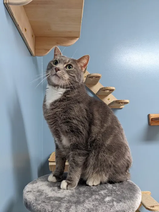 Beechwood Veterinary Clinic 12
