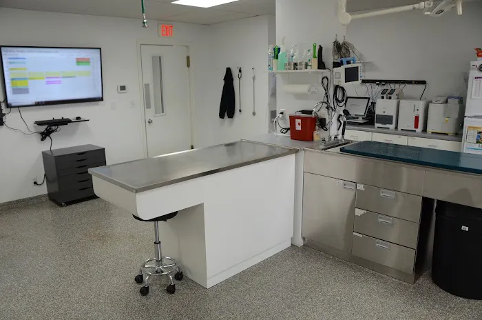 Beechwood Veterinary Clinic 12