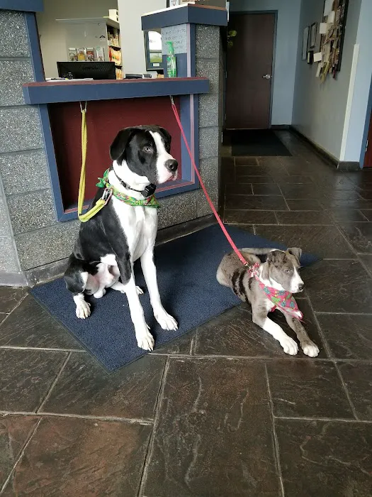Lake Area Veterinary Group 3