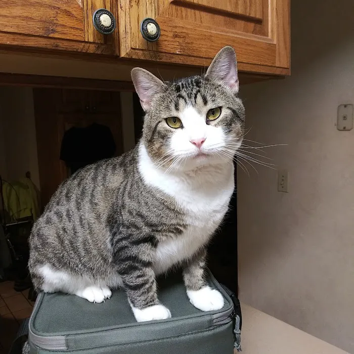 Sturgis Veterinary Hospital 5