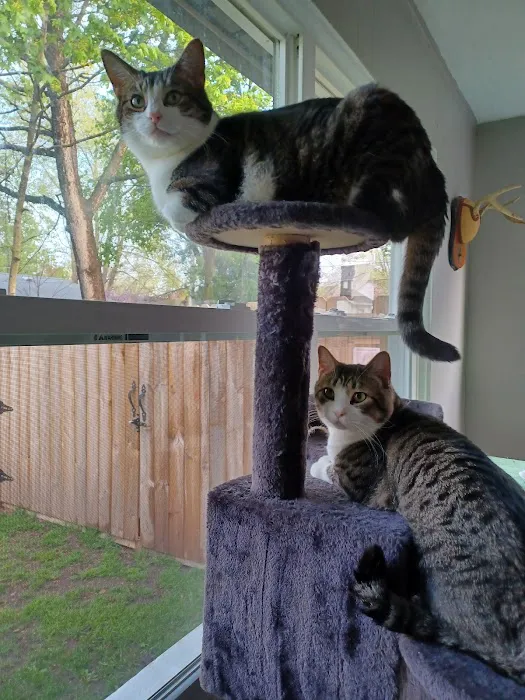 Sturgis Veterinary Hospital 7