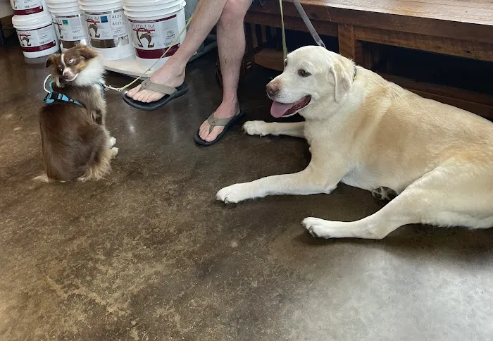 Bronson Veterinary Services 3