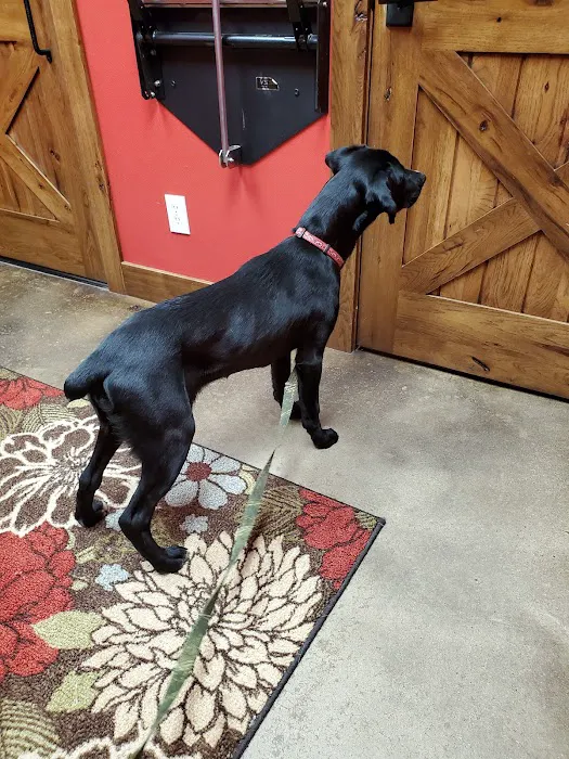 Bronson Veterinary Services 8
