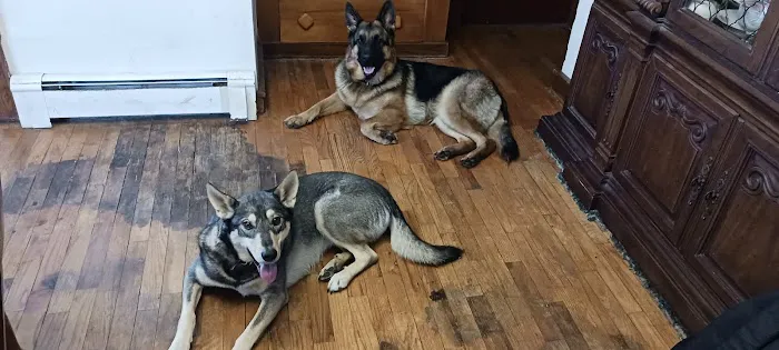 Bronson Veterinary Services 7