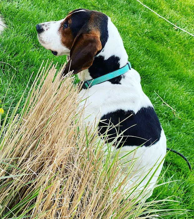 Bronson Veterinary Services 6