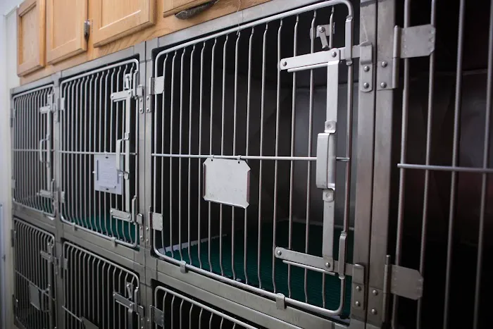 Care Center Hospital for Animals 5