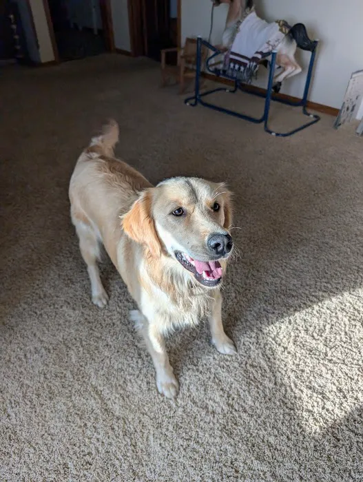 Eel River Veterinary Clinic 12